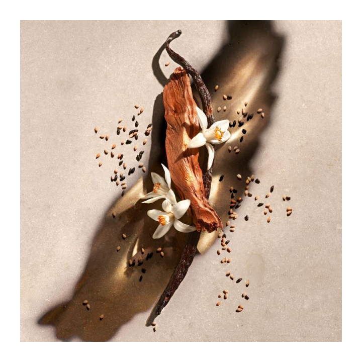 ZADIG & VOLTAIRE - ZADIG Lait pour le corps 200ml